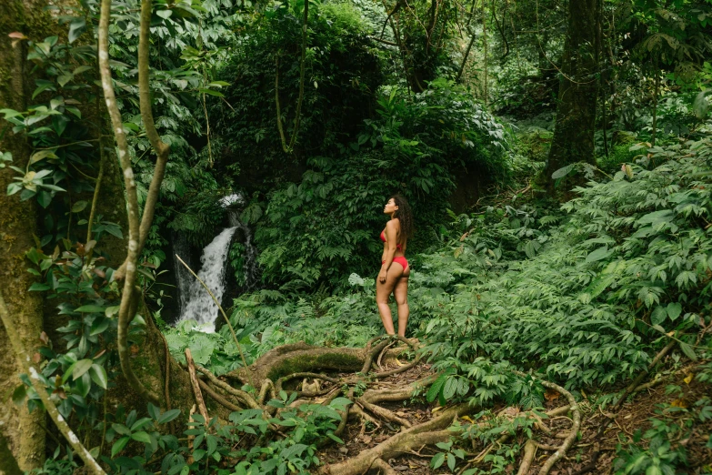 a woman in a red bikini standing in front of a waterfall, by Daniel Lieske, sumatraism, verdant and lush and overgrown, from afar, hawaii, julia sarda