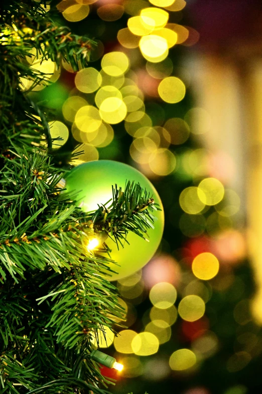 a close up of a christmas tree with lights in the background, a digital rendering, pexels, yellow and greens, glass ball, oh, album photo