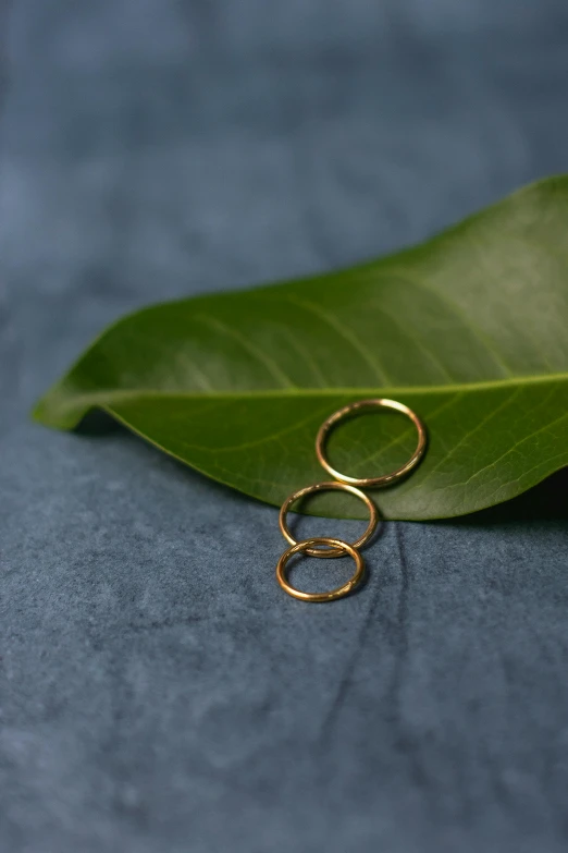 two gold rings sitting on top of a green leaf, by Nina Hamnett, minimalism, nose ring, various sizes, close-up product photo, buddhist