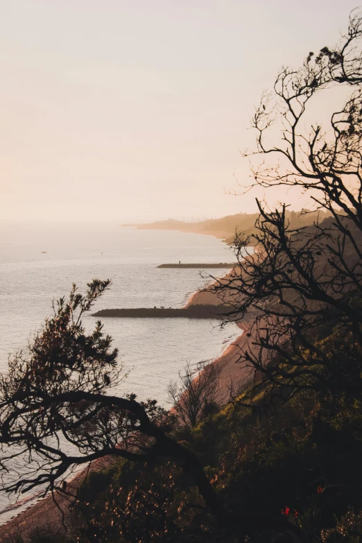 a view of the ocean from the top of a hill, a picture, unsplash contest winner, romanticism, muted browns, trees and cliffs, warm sundown, low quality photo