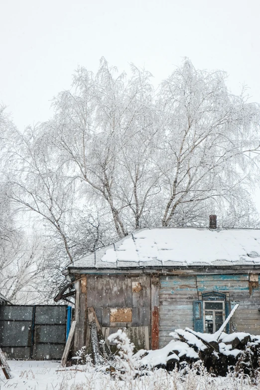 a house sitting in the middle of a field covered in snow, an album cover, inspired by Isaac Levitan, pexels contest winner, graffiti, birch, russian city, background image, snowstorm ::5