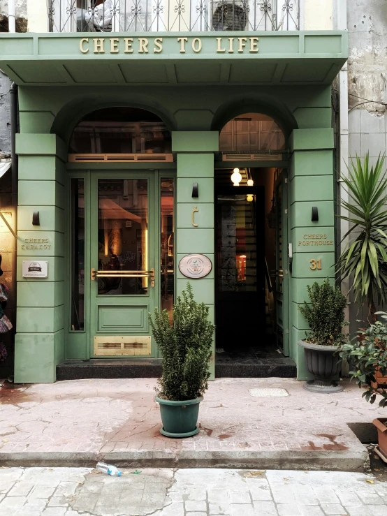 a building with a bunch of potted plants in front of it, absinthe, symmetrical doorway, exiting store, sage green