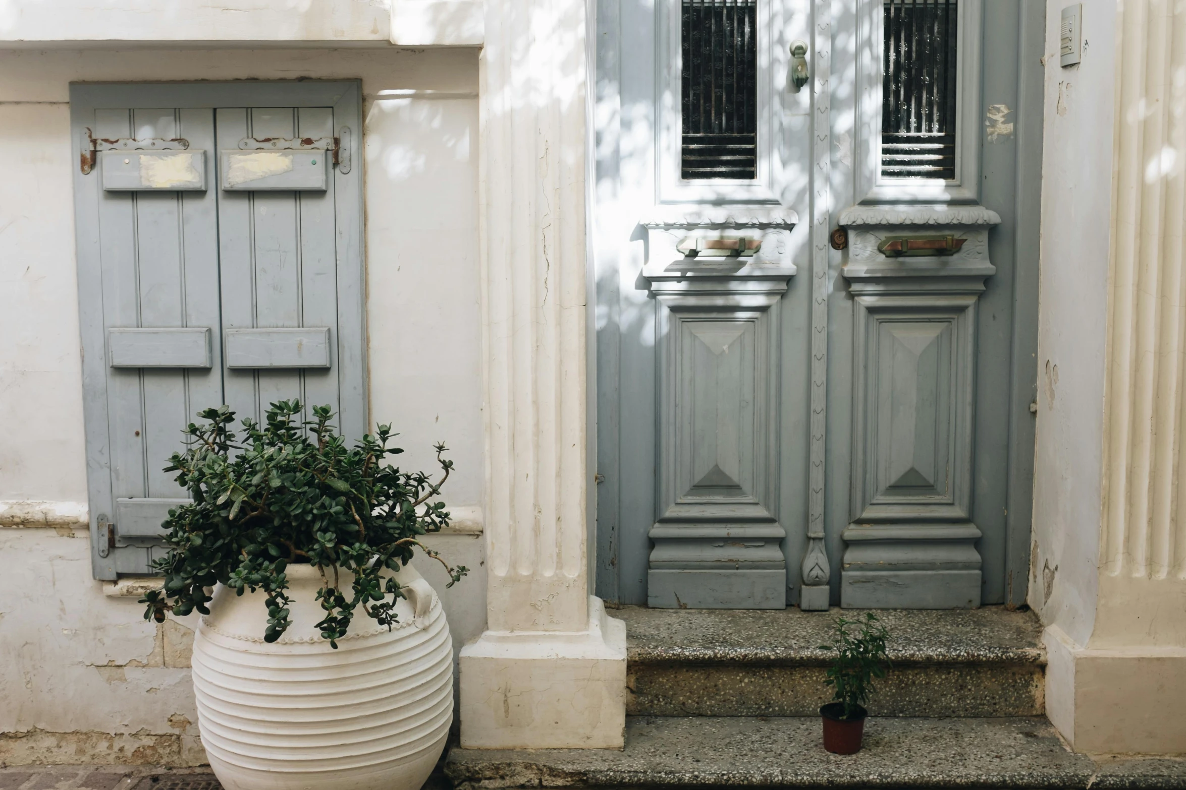 a potted plant sitting in front of a door, pexels contest winner, neoclassicism, tel aviv street, white and pale blue, background image, grey