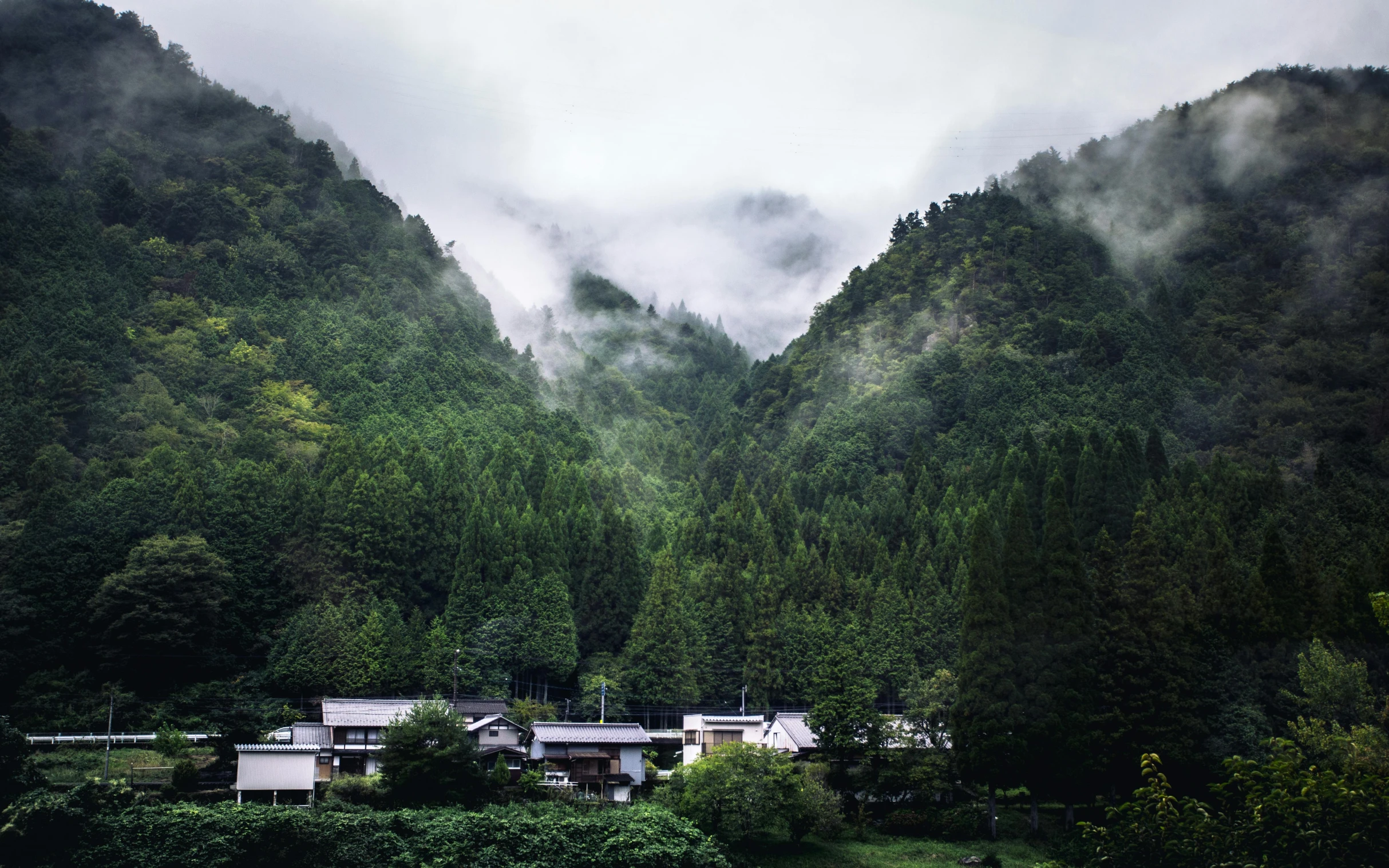 a herd of sheep grazing on top of a lush green hillside, inspired by Maruyama Ōkyo, unsplash contest winner, sōsaku hanga, house in forest, under a gray foggy sky, japanese village, dezeen