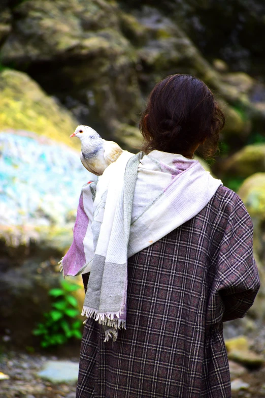 a woman carrying a stuffed animal on her back, a picture, inspired by Katsukawa Shunsen, unsplash, renaissance, pigeon, tartan scarf, purple and white thich cloak, lush surroundings