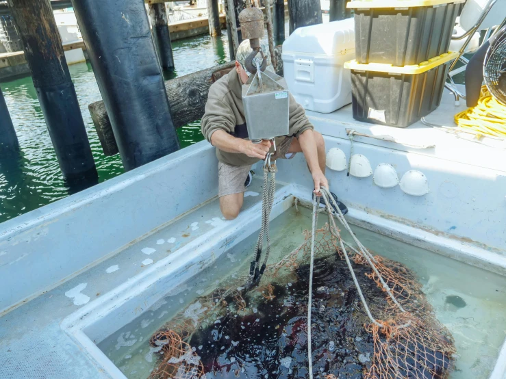 a man standing on top of a boat holding a net, pink axolotl in a bucket, plating, dredged seabed, brown