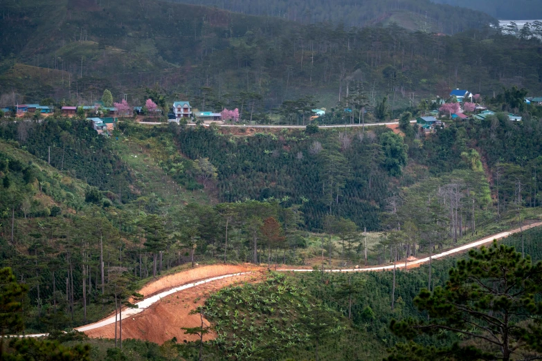 a view of a town from the top of a hill, by Lee Loughridge, hurufiyya, on a jungle forest train track, lpoty, coloured photo, photographed for reuters