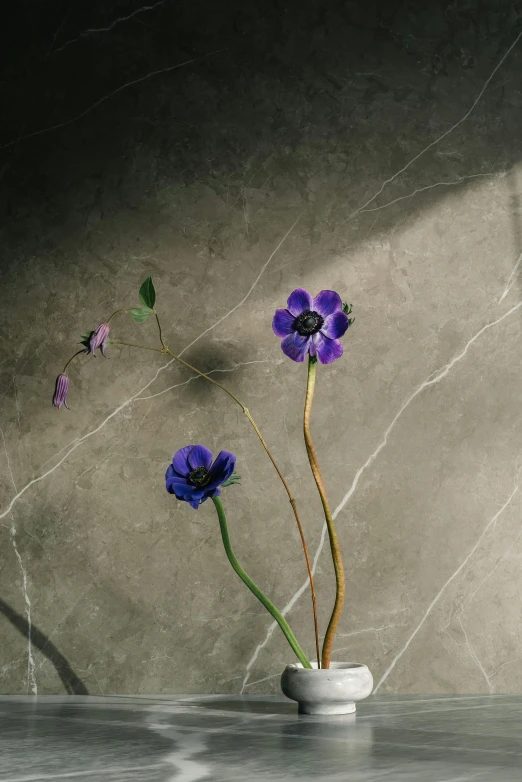 a vase that has some purple flowers in it, an album cover, unsplash, conceptual art, marble floor, mediumslateblue flowers, cracks, light and shadow