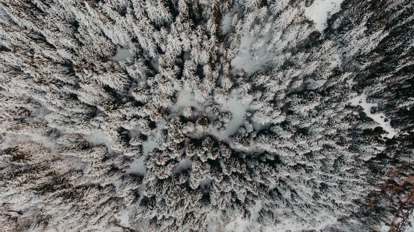 an aerial view of a snow covered forest, a picture, by Matthias Weischer, unsplash contest winner, land art, looking up at camera, whistler, cozy, captured on iphone