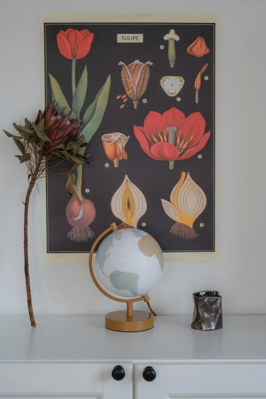 a vase sitting on top of a dresser next to a painting, poster art, by Terese Nielsen, earth globe on top, tulip, on a botanical herbarium paper, globes