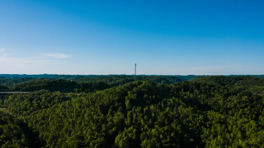 a forest filled with lots of green trees, by Jesper Knudsen, unsplash contest winner, hurufiyya, myllypuro water tower, clear blue sky, looking over west virginia, very very very tall