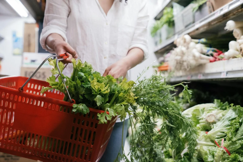 a woman is shopping in a grocery store, by Nicolette Macnamara, pexels, vegetable foliage, loosely cropped, 🦩🪐🐞👩🏻🦳, exterior shot