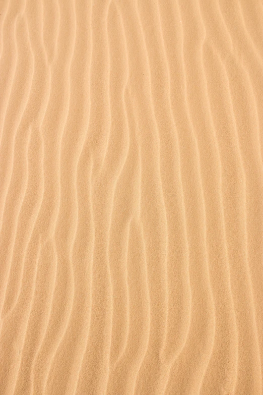a close up of a sand dune in the desert, by Andries Stock, light orange values, smooth panelling, vibration, water ripples