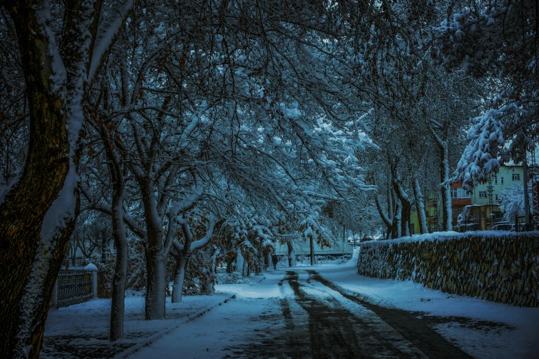 a street lined with trees covered in snow, by Lucia Peka, pexels contest winner, fan favorite, hdr color, dark, driveway