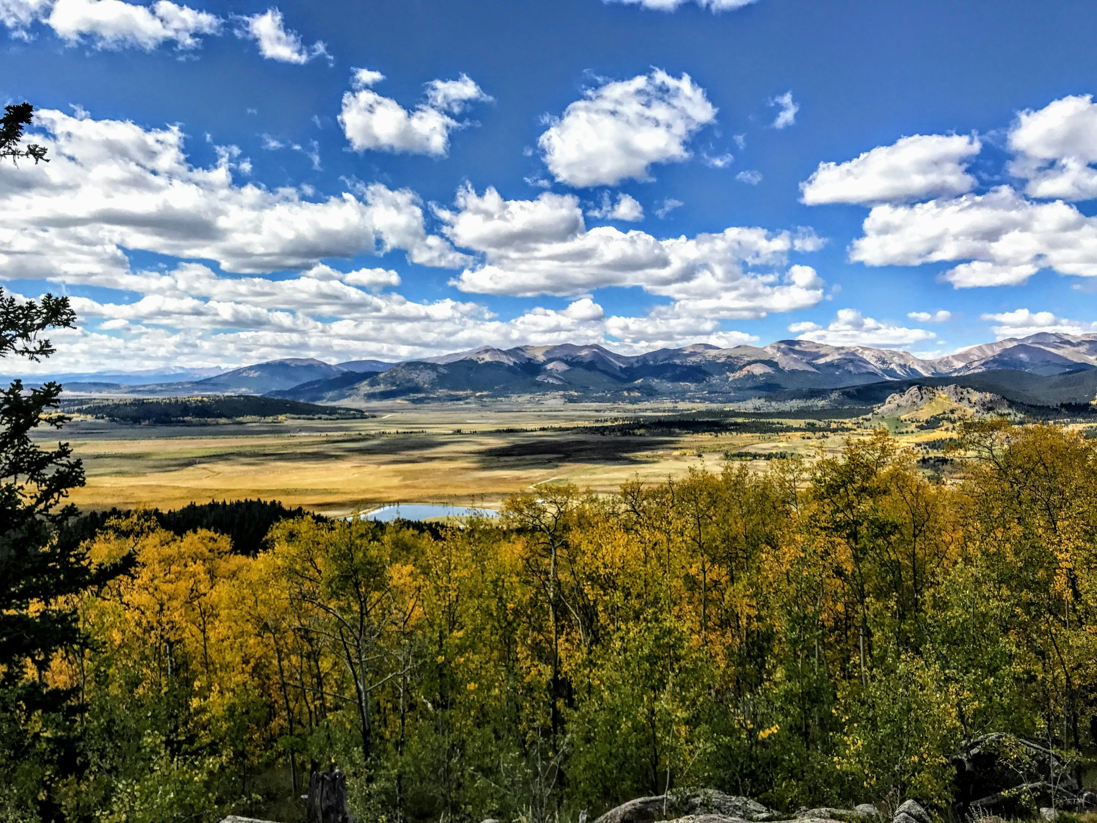 a view of the mountains from the top of a hill, by Arnie Swekel, mountain lakes, golden grasslands, aspen grove in the background, on a bright day