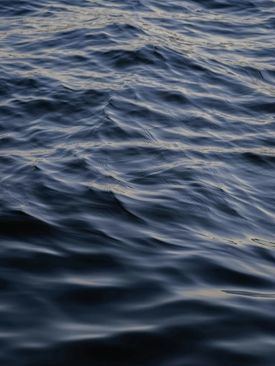 a large body of water with a boat in the distance, by Carey Morris, unsplash, hyperrealism, flowing rhythms, dark blue, ignant, close - up photograph