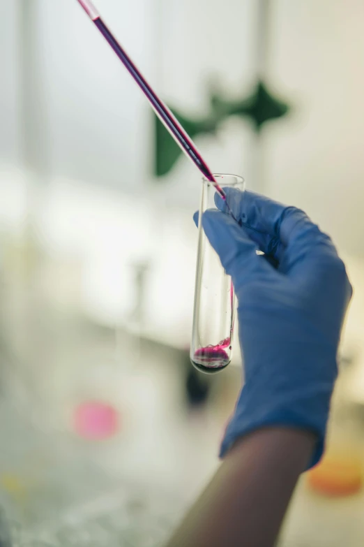 a person in blue gloves holding a tube filled with liquid, a picture, shutterstock, magenta, in laboratory, tall shot, instagram picture