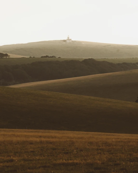 a couple of cows standing on top of a lush green field, by Peter Churcher, unsplash contest winner, renaissance, a road leading to the lighthouse, muted browns, palace on top of the hill, seen from a distance