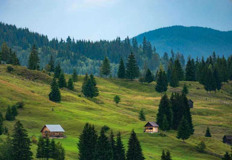 a couple of cabins sitting on top of a lush green hillside, by Julia Pishtar, pexels contest winner, renaissance, romanian heritage, spruce trees, panoramic, fan favorite