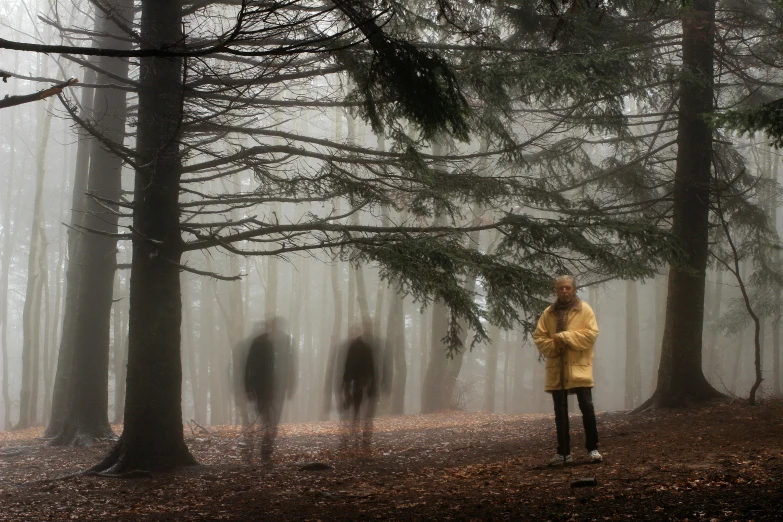 a group of people walking through a forest on a foggy day, by Lucia Peka, pexels contest winner, process art, with a figure in the background, yellow volumetric fog, ghouls, a person standing in front of a