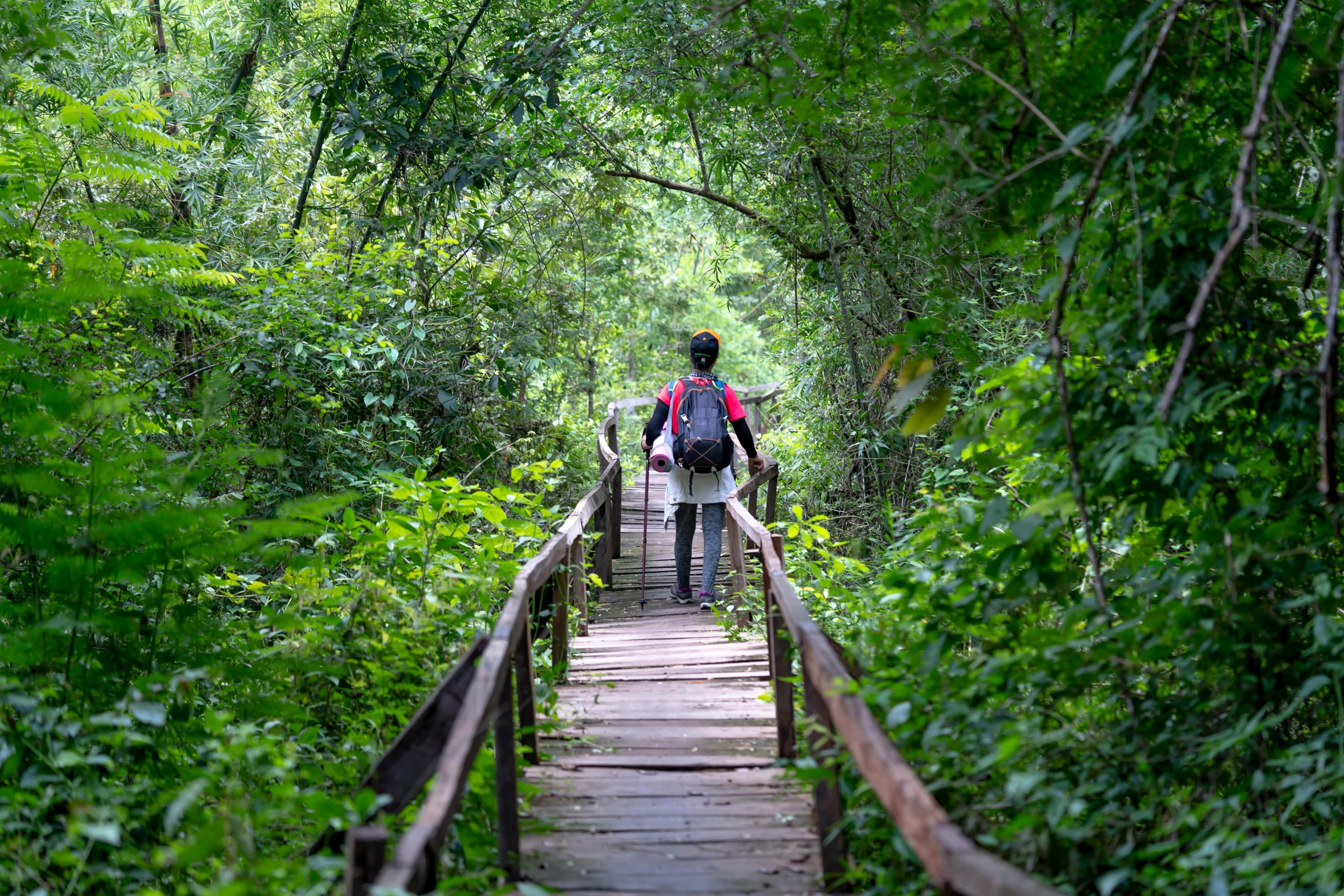 a couple of people walking across a wooden bridge, sumatraism, avatar image