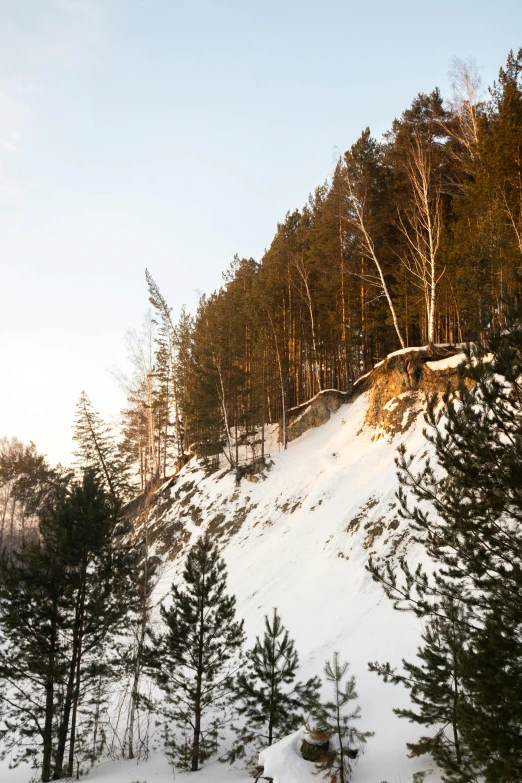 a group of people riding skis down a snow covered slope, trees and cliffs, west slav features, erosion, alvar aalto