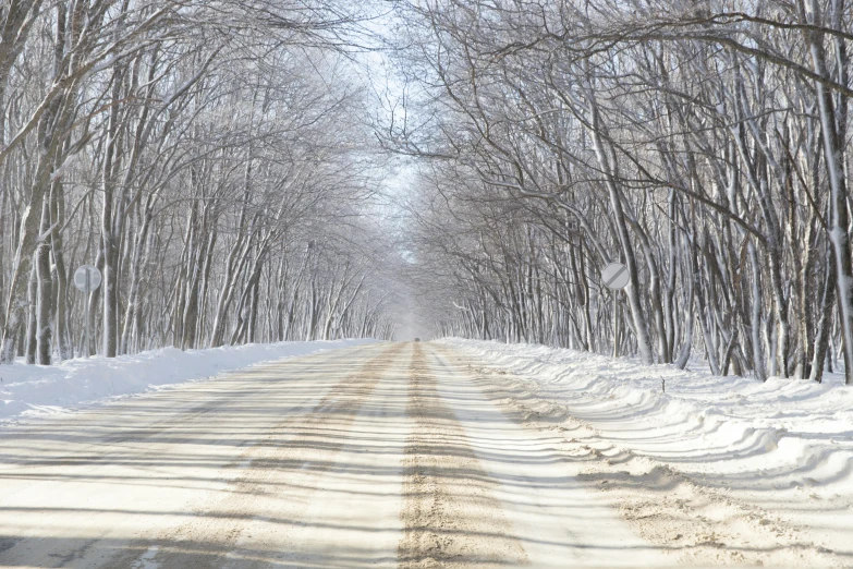 a snow covered road in the middle of a forest, photo taken with provia, ultra - realistic, thumbnail, paved roads