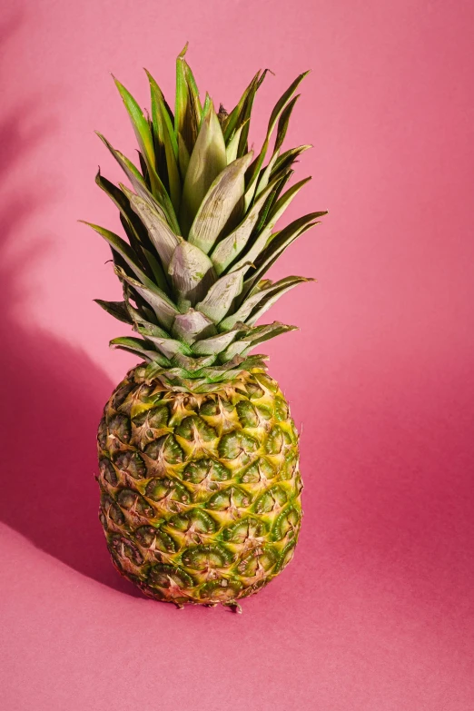 a pineapple on a pink background, vibrantly lush, highly polished, uncrop, mid - shot