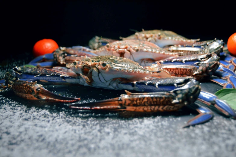 a bunch of crabs sitting on top of a table, a portrait, unsplash, hurufiyya, blue, filleting technique, commercially ready, 2000s photo