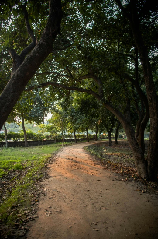 a dirt road surrounded by trees in a park, by Rajesh Soni, bangladesh, royal garden landscape, warm light, a quaint