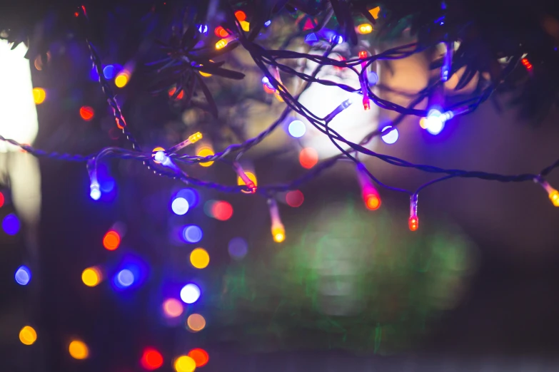 a bunch of lights that are on a tree, an album cover, pexels, festive colors, instagram post, multicolor, moody hazy lighting