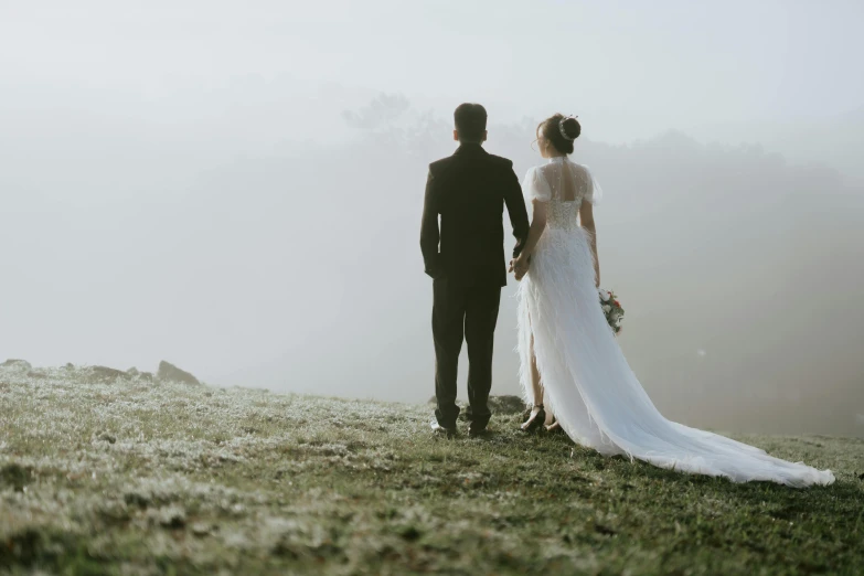 a bride and groom standing on top of a hill, pexels contest winner, romanticism, foggy day outside, pristine and clean design, lachlan bailey, back