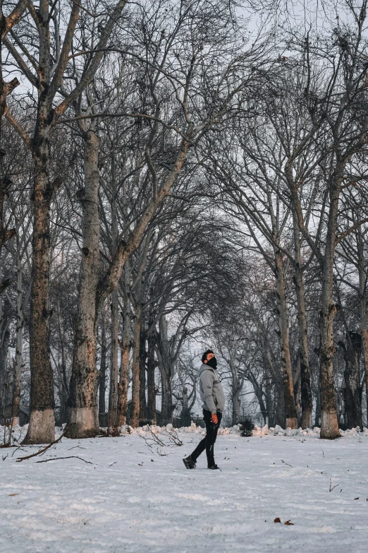 a person walking through a snow covered park, a picture, pexels contest winner, buenos aires, full body full height, 8 k photo, cinematic outfit photo