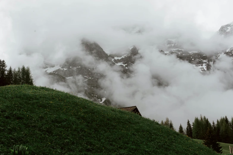 a cow standing on top of a lush green hillside, by Daniel Seghers, pexels contest winner, hurufiyya, castle made of clouds, log cabin beneath the alps, overcast gray skies, dolomites