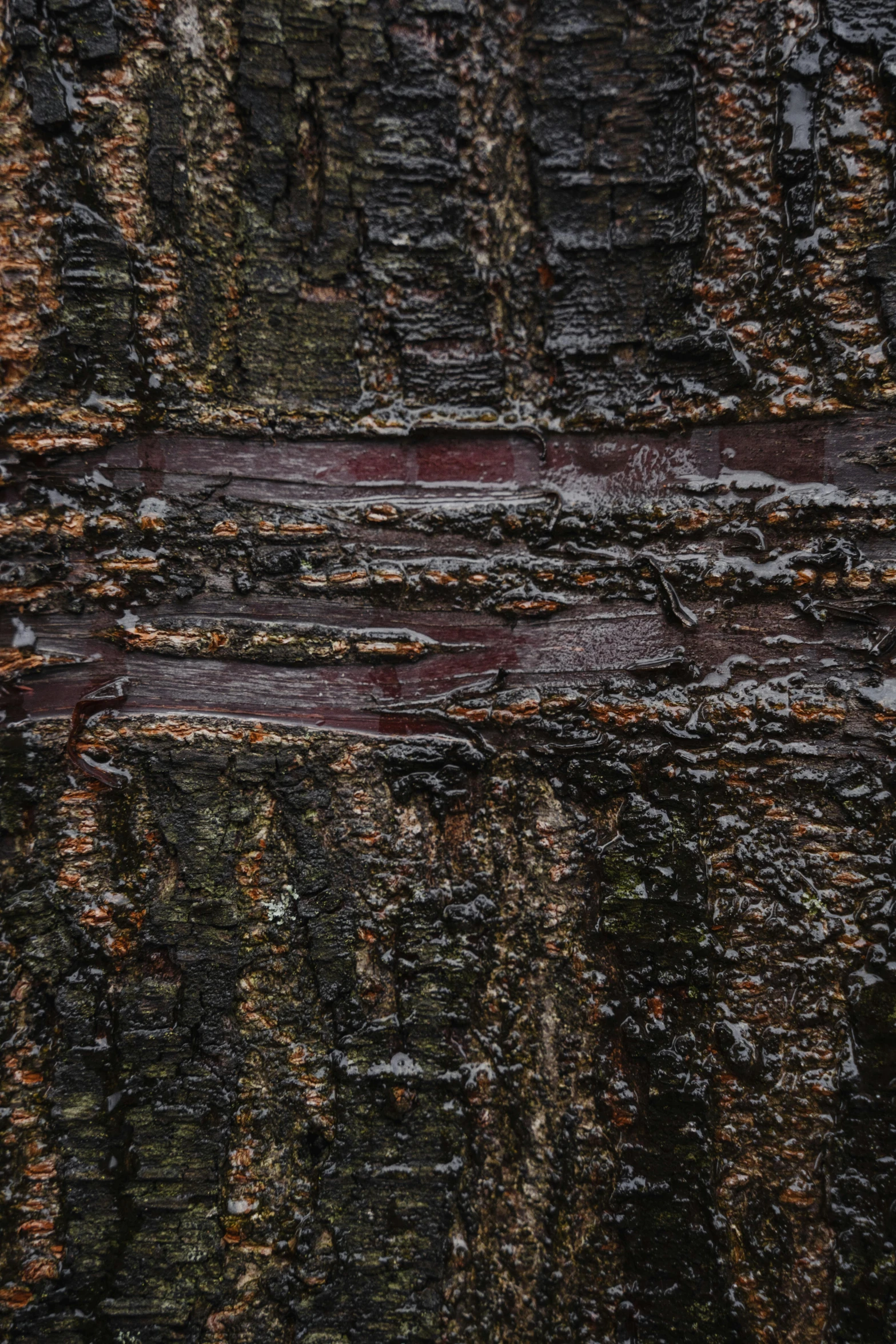 a close up of the bark of a tree, a detailed painting, inspired by Pierre Soulages, unsplash, rich cold moody colours, made of tar, zoomed out to show entire image, highly detailed oil painting