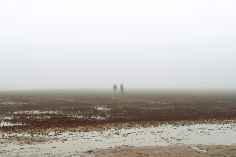 two people standing in a field on a foggy day, a picture, the lost beach, muted browns, humans exploring, fading off to the horizon