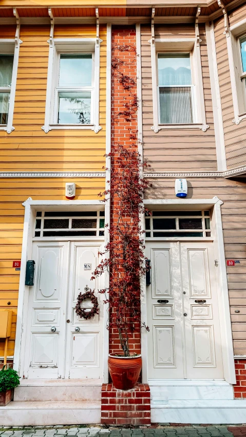 a fire hydrant in front of a row of houses, by Carey Morris, pexels contest winner, art nouveau, doors to various living quarters, earthy color scheme, swedish house, wide angle exterior 2022