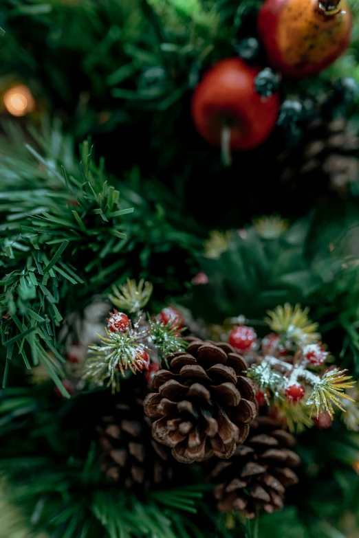 a close up of a christmas tree with pine cones, a portrait, inspired by Ernest William Christmas, pexels, green and red plants, indoor picture, brown, multicoloured