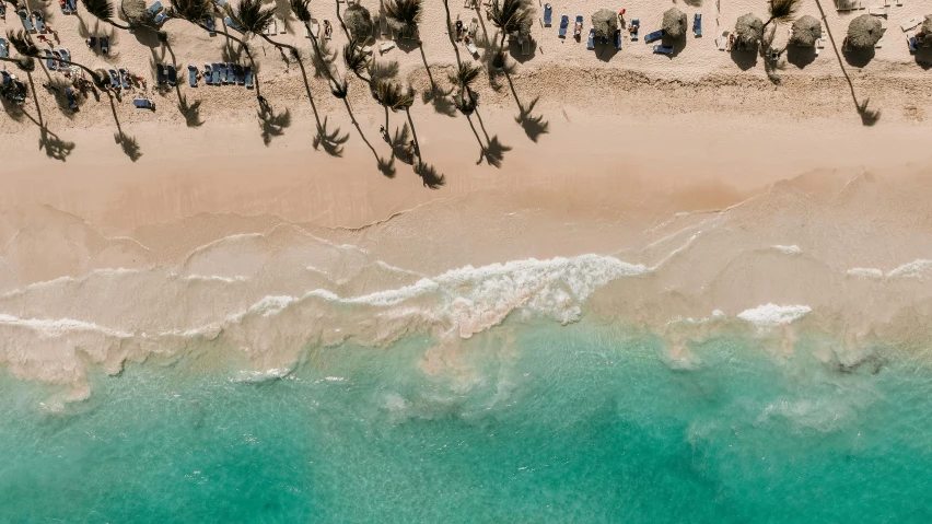 an aerial view of a beach with palm trees, by Robbie Trevino, pexels contest winner, hurufiyya, carribean turquoise water, beaching, thumbnail, 7 0 % ocean