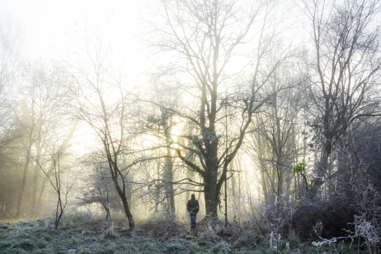 a couple of people that are standing in the grass, inspired by Arthur Burdett Frost, pexels, tonalism, tree woodland atmosphere, hunter alone in the wilderness, early morning light, grey