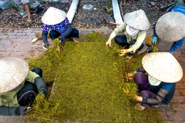 a group of people sitting on top of a brick floor, inspired by Ruth Jên, environmental art, green tea, dried moss, vietnamese woman, avatar image