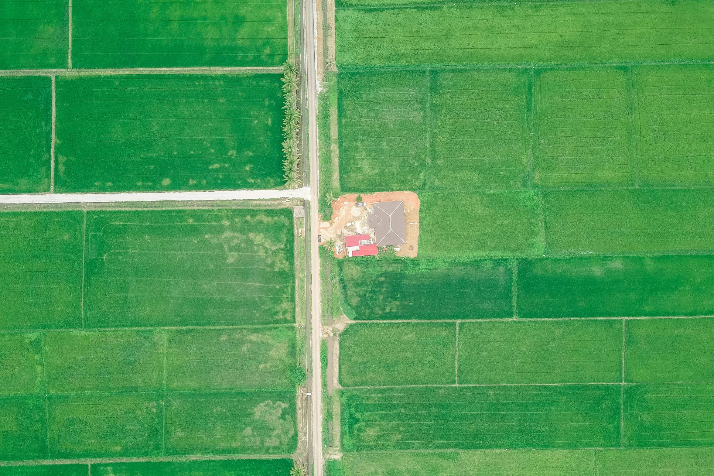 a bird's eye view of a green field, unsplash, color field, red barn in distance, satelite imagery, building cover with plant, facing sideways