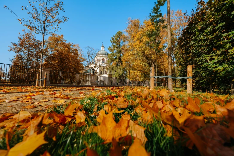 a bench sitting on top of a lush green field, khreschatyk, fall leaves on the floor, with great domes and arches, high-quality photo