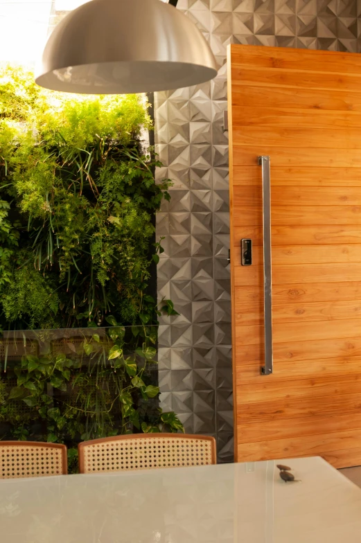 a living room filled with furniture and a wooden door, by david rubín, vertical gardens, texture detail, oceanside, metal framed portal