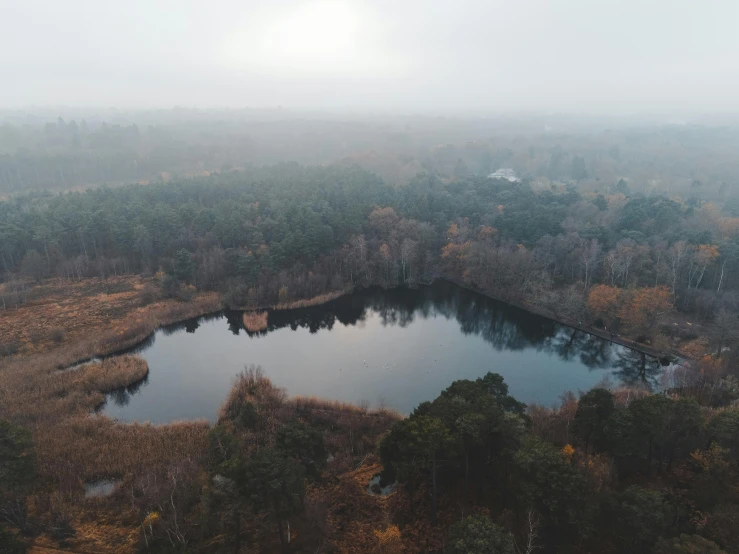 a lake surrounded by trees on a foggy day, pexels contest winner, bird\'s eye view, cinematic footage, late autumn, overcast skies