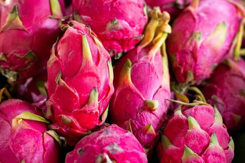 a pile of dragon fruit sitting on top of a table, rich deep pink, closeup of arms, lotuses, subtle detailing
