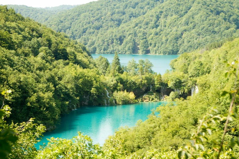 a large body of water surrounded by trees, pexels contest winner, hurufiyya, blue and green water, slovenian, greens), avatar image