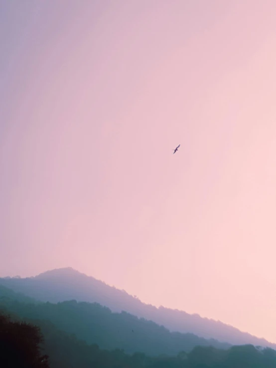 there is a bird that is flying in the sky, inspired by Ren Hang, pexels contest winner, postminimalism, faded pink, in mountains, low quality photo, ansel ]