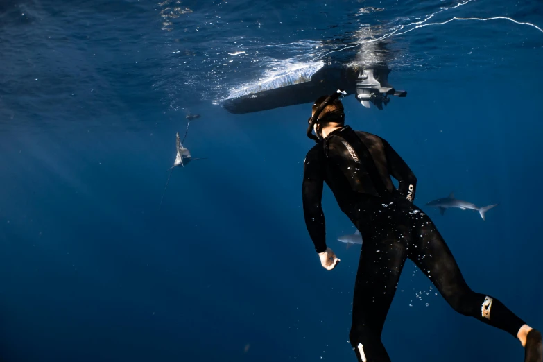 a man in a wet suit swimming next to a shark, by Daniel Lieske, happening, profile image, ultrawide shot, mantis and swordfishes, thumbnail