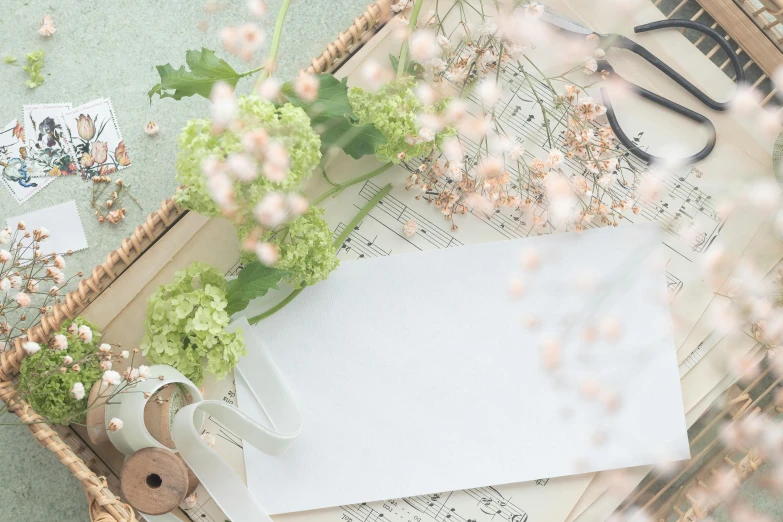 a bunch of flowers sitting on top of a table, an album cover, inspired by Cassandra Austen, trending on pixabay, private press, blank paper, pastel green, writing a letter, gypsophila